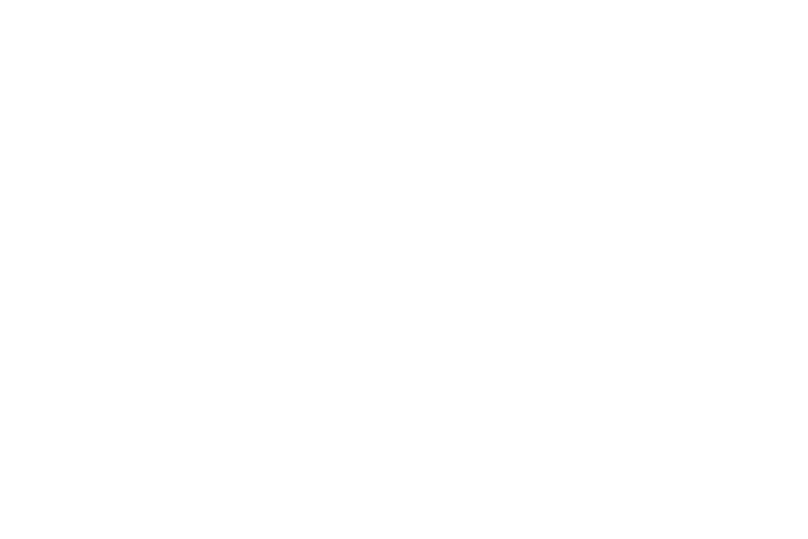 Todd Richey Auction Service